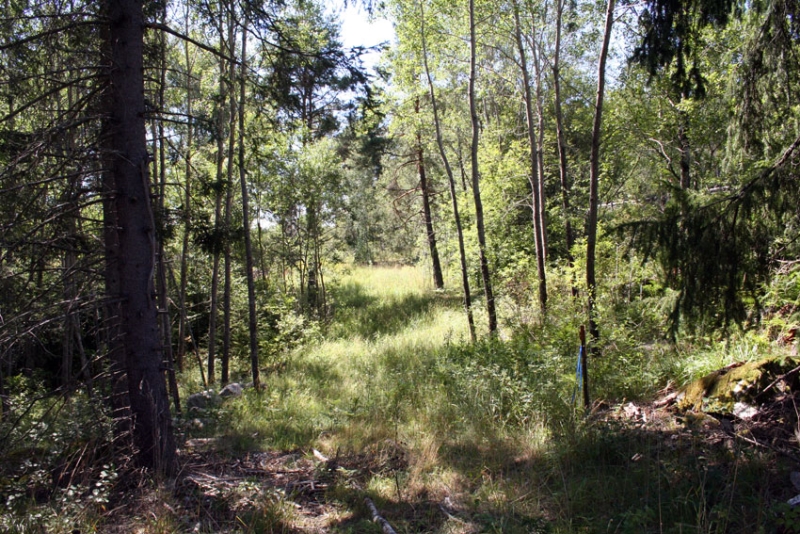 Nedfarten från Stockholmsvägen till
Sjöberg