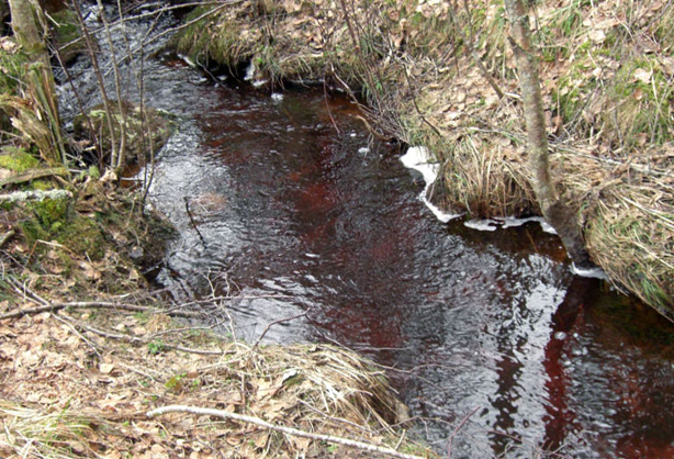 Den röda Sågbäcken