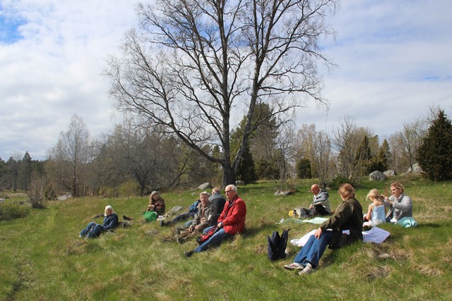 Picknick